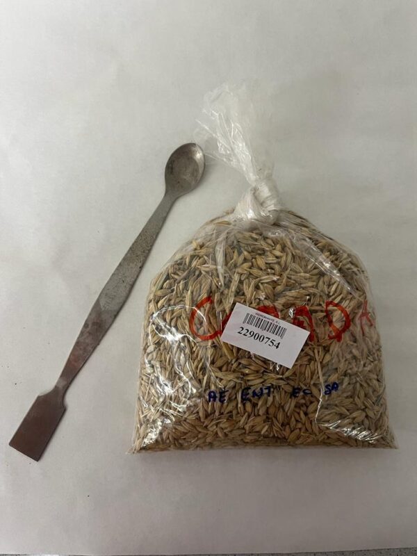 Cereales / piensos análisis microbiológico + aflatoxinas - Imagen 3